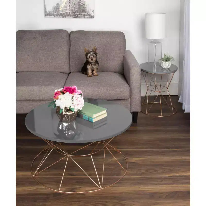 Kate and Laurel Mendel Round Metal Coffee Table, 30x30x17, Gray and Rose Gold